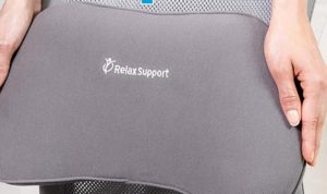 Read more about the article Best Lumbar Support for Car